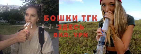соль ск Пересвет